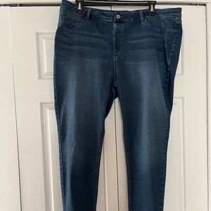 Laurie Felt Silky Denim Ankle Skinny Pull-On Jeans Size 2X